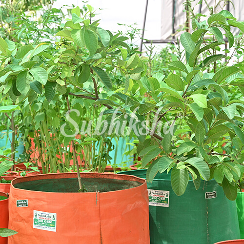 Best Fabric Pots in Erode