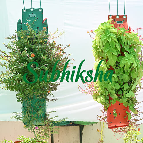 Best Grow Bags in dharmapuri  