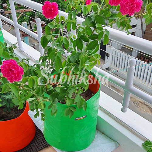 Best Flower Planting Bags Manufacturer in Andhra Predesh