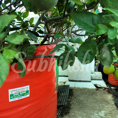 Best Grow Bags Manufacturer in chalakudy