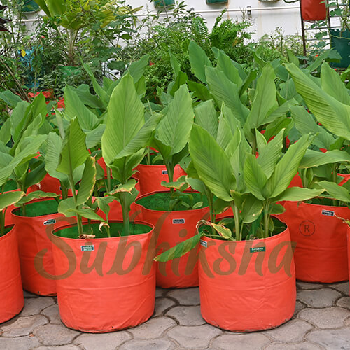 Best Grow Bags Manufacturer in dindigul