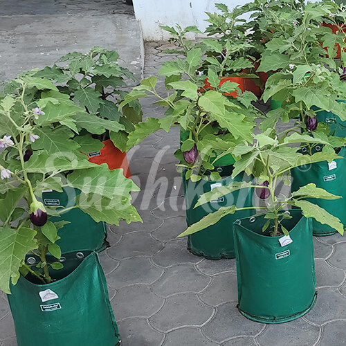 Best Grow Bags Manufacturer in ernakulam 