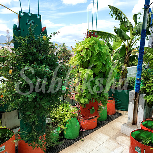 Best Grow Bags Manufacturer in hyderabad