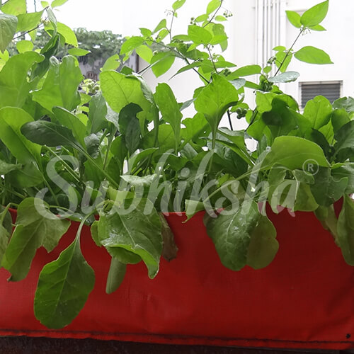 Best Grow Bags Manufacturer in munnar