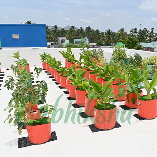 Best Grow Bags Manufacturer in ramanathapuram 