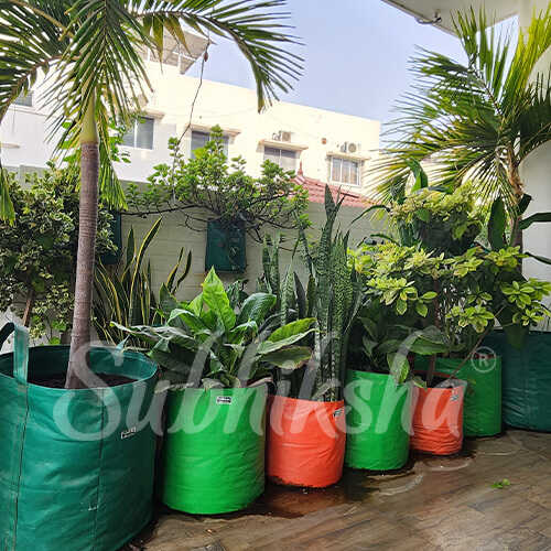 Best Grow Bags Manufacturer in telangana 