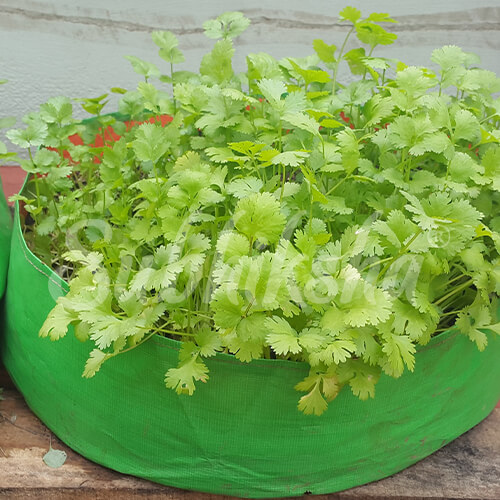 Best Grow Bags Manufacturer in vijayawada