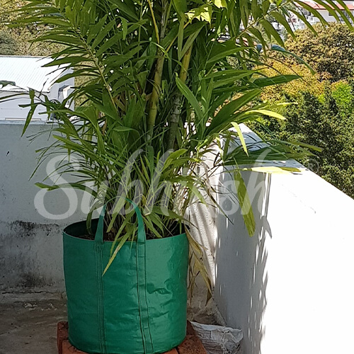 Best Grow Bags Manufacturer in vishakapatnam