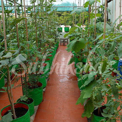 Best Grow Bags Manufacturer in coimbatore