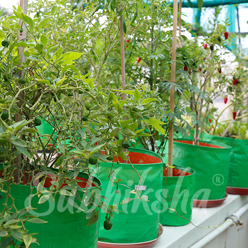 Best Grow Bags Manufacturer in dharmapuri