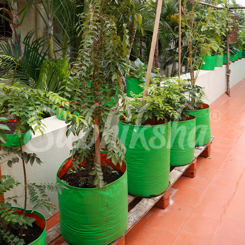 Best Grow Bags Manufacturer in karur