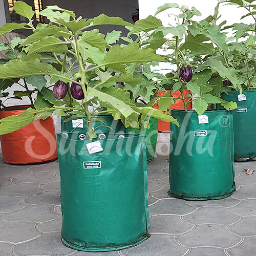 Best Grow Bags Manufacturer in salem