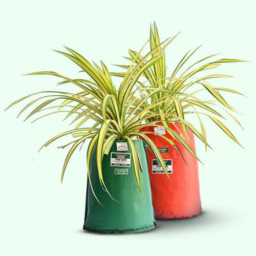 flower-bags-in-tamilnadu