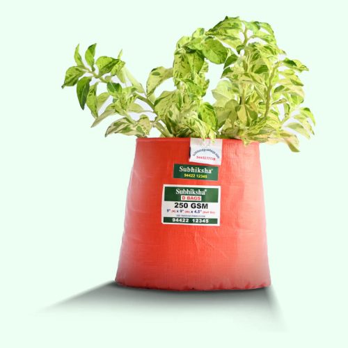 pasalai-keerai-planting-bags