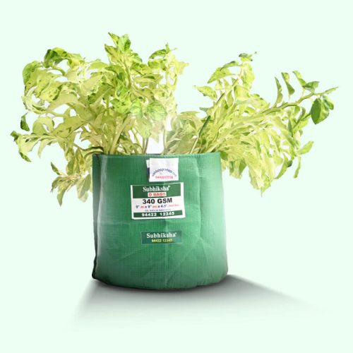 plastic-bags-for-growing-plants