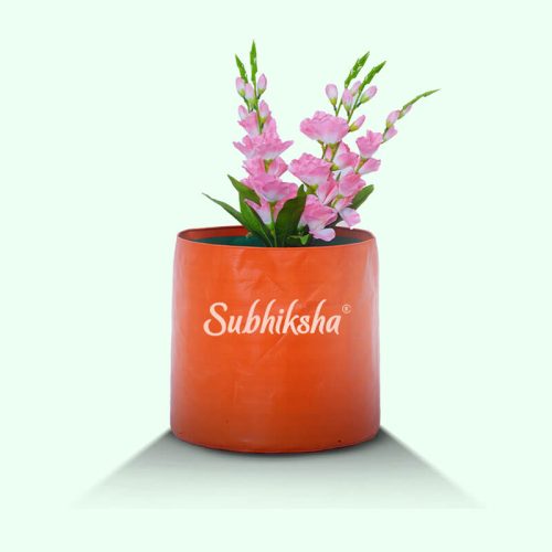 portability-grow-bags-in-salem